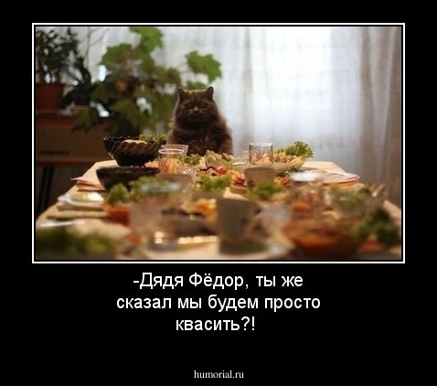 -Дядя Фёдор, ты же сказал мы будем просто квасить?!