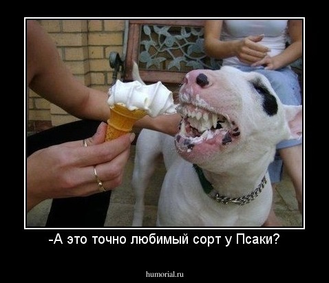 -А это точно любимый сорт у Псаки?