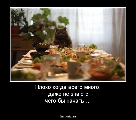 Плохо когда всего много, даже не знаю с чего бы начать...