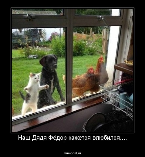 Наш Дядя Фёдор кажется влюбился....