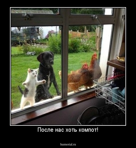 После нас хоть компот!