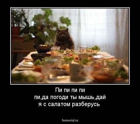Пи пи пи пи пи,да погоди ты мышь,дай я с салатом разберусь