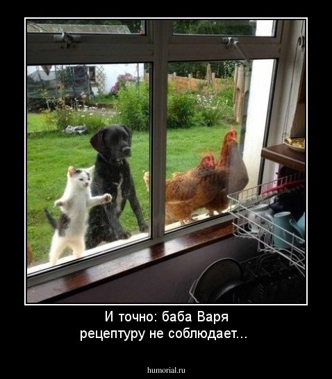 И точно: баба Варя рецептуру не соблюдает...