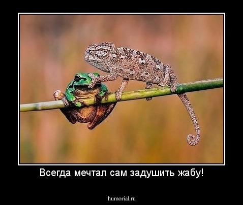 Всегда мечтал сам задушить жабу!