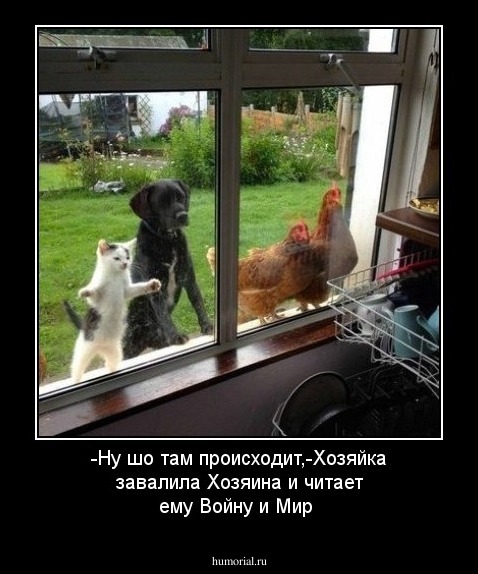 -Ну шо там происходит,-Хозяйка завалила Хозяина и читает ему Войну и Мир
