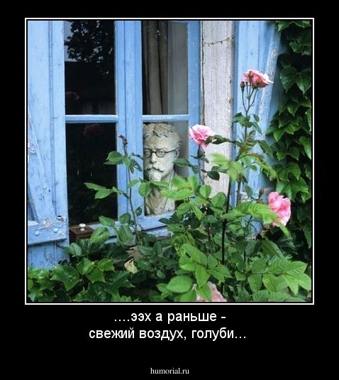 ....ээх а раньше - свежий воздух, голуби...