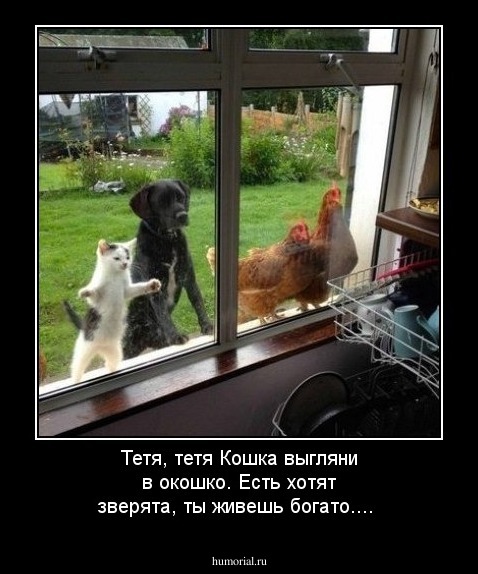 Тетя, тетя Кошка выгляни в окошко. Есть хотят зверята, ты живешь богато....