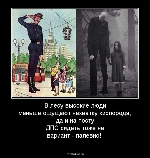В лесу высокие люди меньше ощущают нехватку кислорода, да и на посту ДПС сидеть тоже не вариант - палевно!