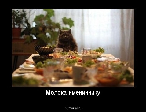 Молока имениннику