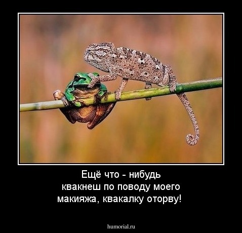 Ещё что - нибудь квакнеш по поводу моего макияжа, квакалку оторву!