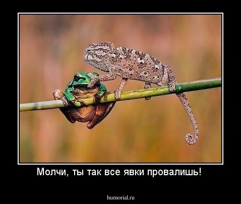 Молчи, ты так все явки провалишь! 