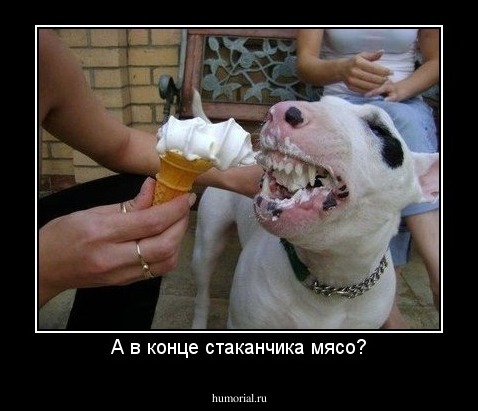 А в конце стаканчика мясо?