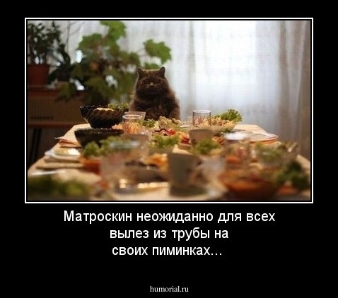 Матроскин неожиданно для всех вылез из трубы на своих пиминках...