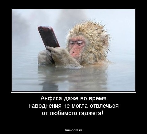 Анфиса даже во время наводнения не могла отвлечься от любимого гаджета!