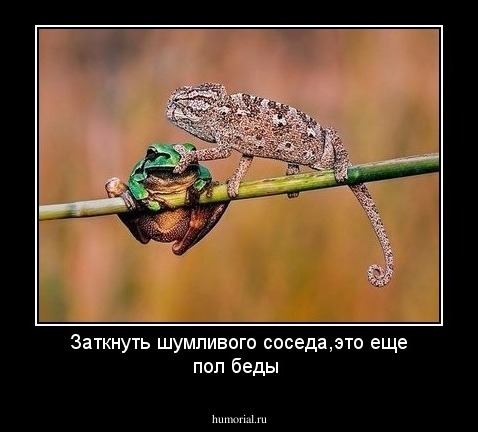 Заткнуть шумливого соседа,это еще пол беды