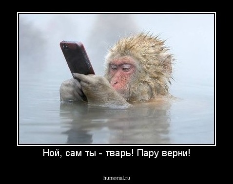 Ной, сам ты - тварь! Пару верни!