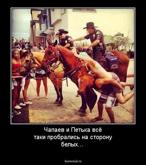 Чапаев и Петька всё таки пробрались на сторону белых...