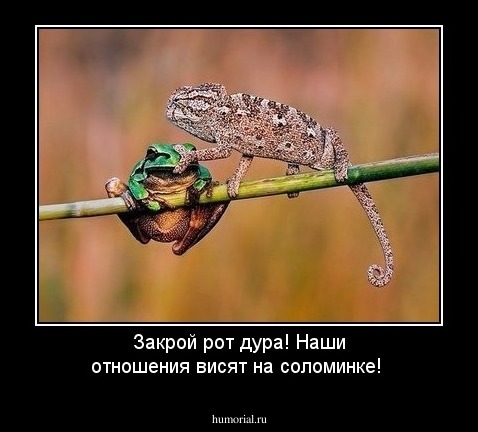 Закрой рот дура! Наши отношения висят на соломинке!