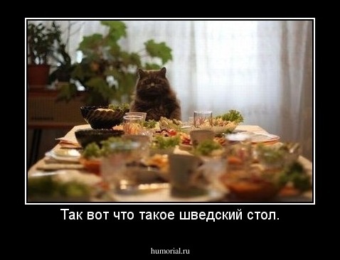 Так вот что такое шведский стол.