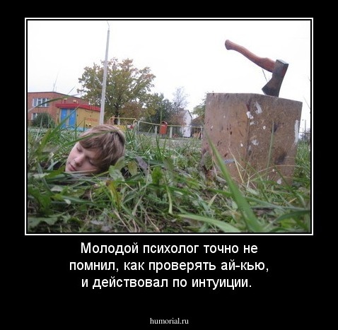 Молодой психолог точно не помнил, как проверять ай-кью, и действовал по интуиции. 
