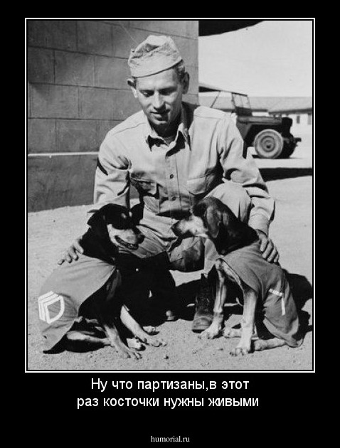 Ну что партизаны,в этот раз косточки нужны живыми