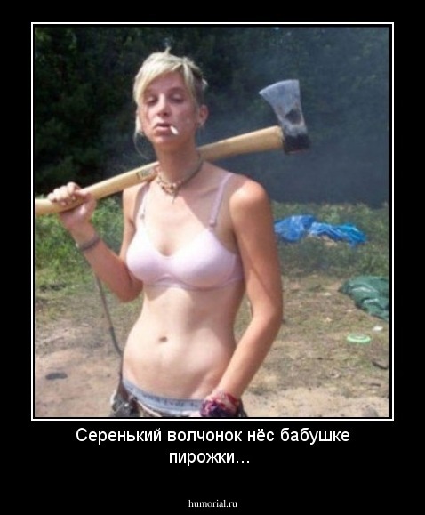 Серенький волчонок нёс бабушке пирожки...