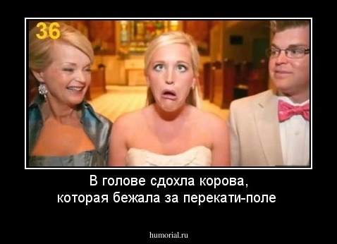 В голове сдохла корова, которая бежала за перекати-поле