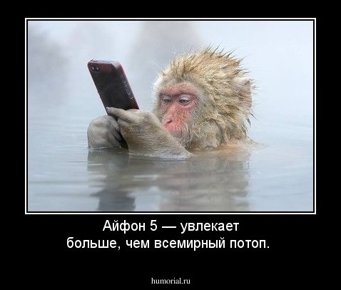 Айфон 5 — увлекает больше, чем всемирный потоп.