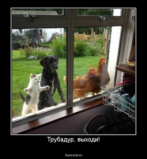 Трубадур, выходи!