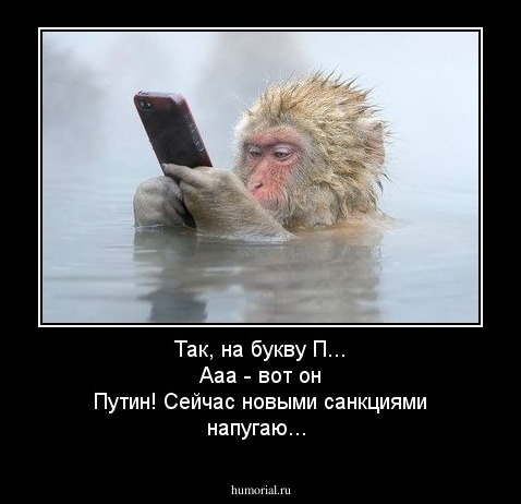 Так, на букву П... Ааа - вот он Путин! Сейчас новыми санкциями напугаю...