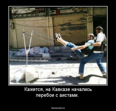 Кажется, на Кавказе начались перебои с аистами. 