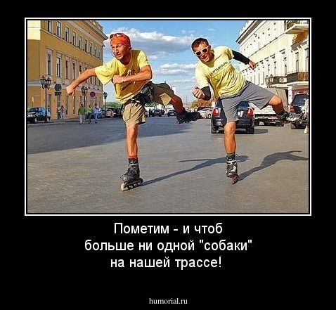 Пометим - и чтоб больше ни одной "собаки" на нашей трассе!