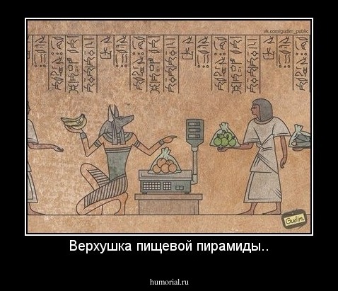 Верхушка пищевой пирамиды..