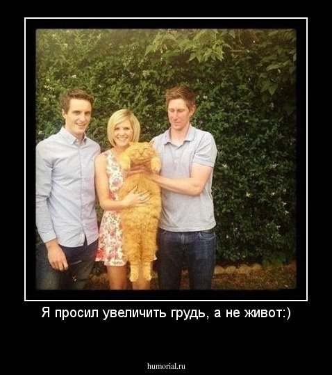 Я просил увеличить грудь, а не живот:)
