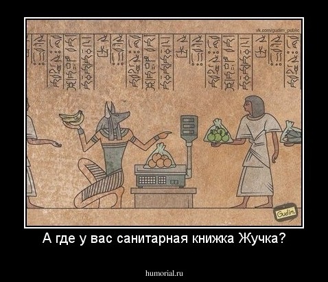 А где у вас санитарная книжка Жучка?