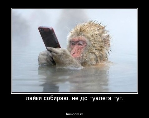 лайки собираю. не до туалета тут.