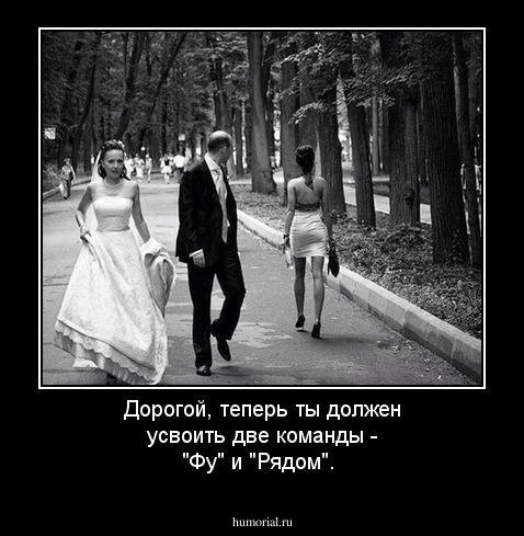 Дорогой, теперь ты должен усвоить две команды - "Фу" и "Рядом".