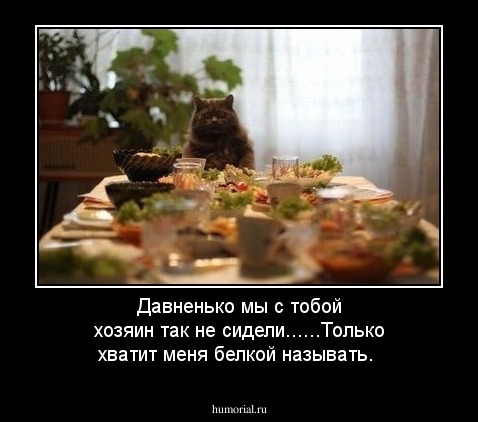 Давненько мы с тобой хозяин так не сидели......Только хватит меня белкой называть.