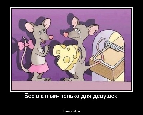 Бесплатный- только для девушек.