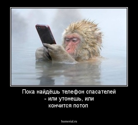 Пока найдёшь телефон спасателей - или утонешь, или кончится потоп