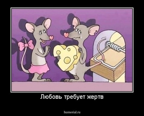 Любовь требует жертв