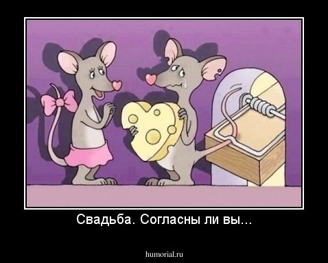 Свадьба. Согласны ли вы...