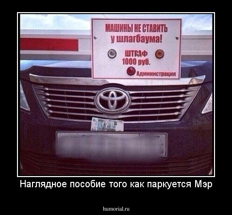 Наглядное пособие того как паркуется Мэр