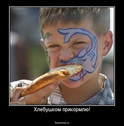 Хлебушком прикормлю!