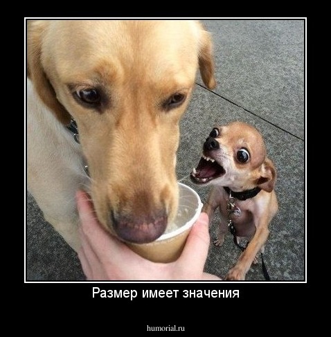 Размер имеет значения