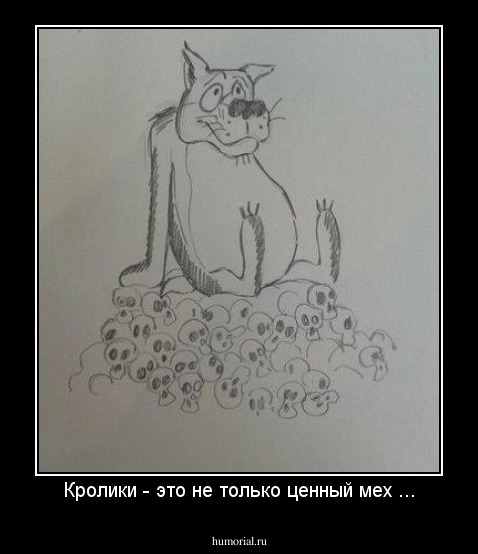 Кролики - это не только ценный мех ...