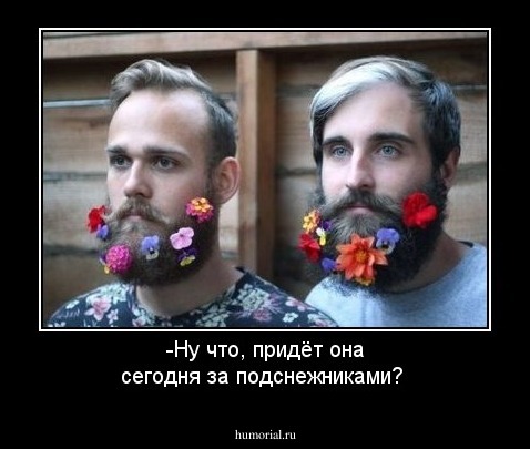 -Ну что, придёт она сегодня за подснежниками?