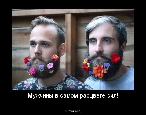 Мужчины в самом расцвете сил!