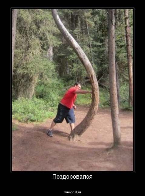 Поздоровался