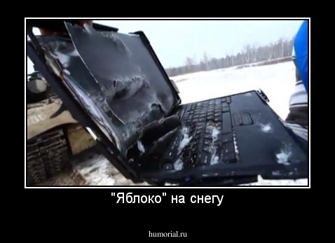 "Яблоко" на снегу